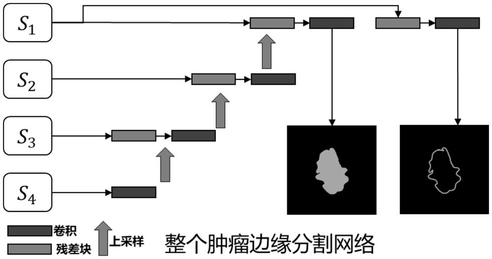 Cascade neural network structure-based brain glioma segmentation method