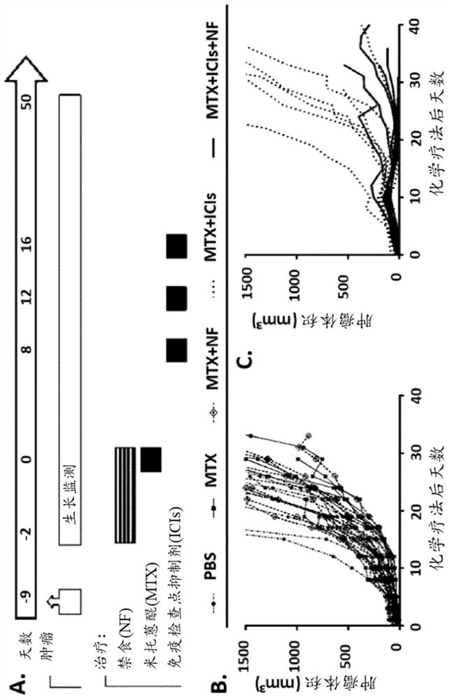 Use of caloric restriction mimetics for potentiating chemo-immunotherapy for the treatment of cancers