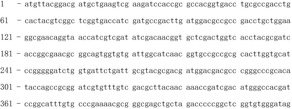 Mycobacterium tuberculosis pyrazinamide molecule drug sensitivity detection method