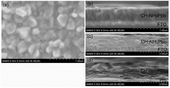 Preparation method of organic-inorganic hybrid perovskite thin film