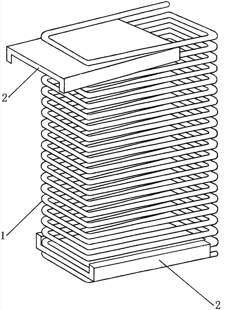 Queen bee steel wire cage