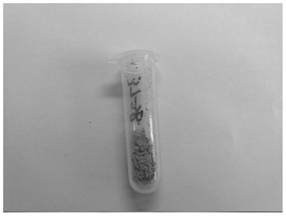 Preparation method of flexible carbon/lanthanum ferrite composite fiber membrane material