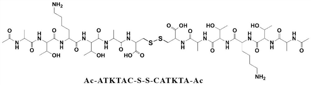 Peptide-drug co-assembly method for constructing reduction-responsive anticancer nanomedicine