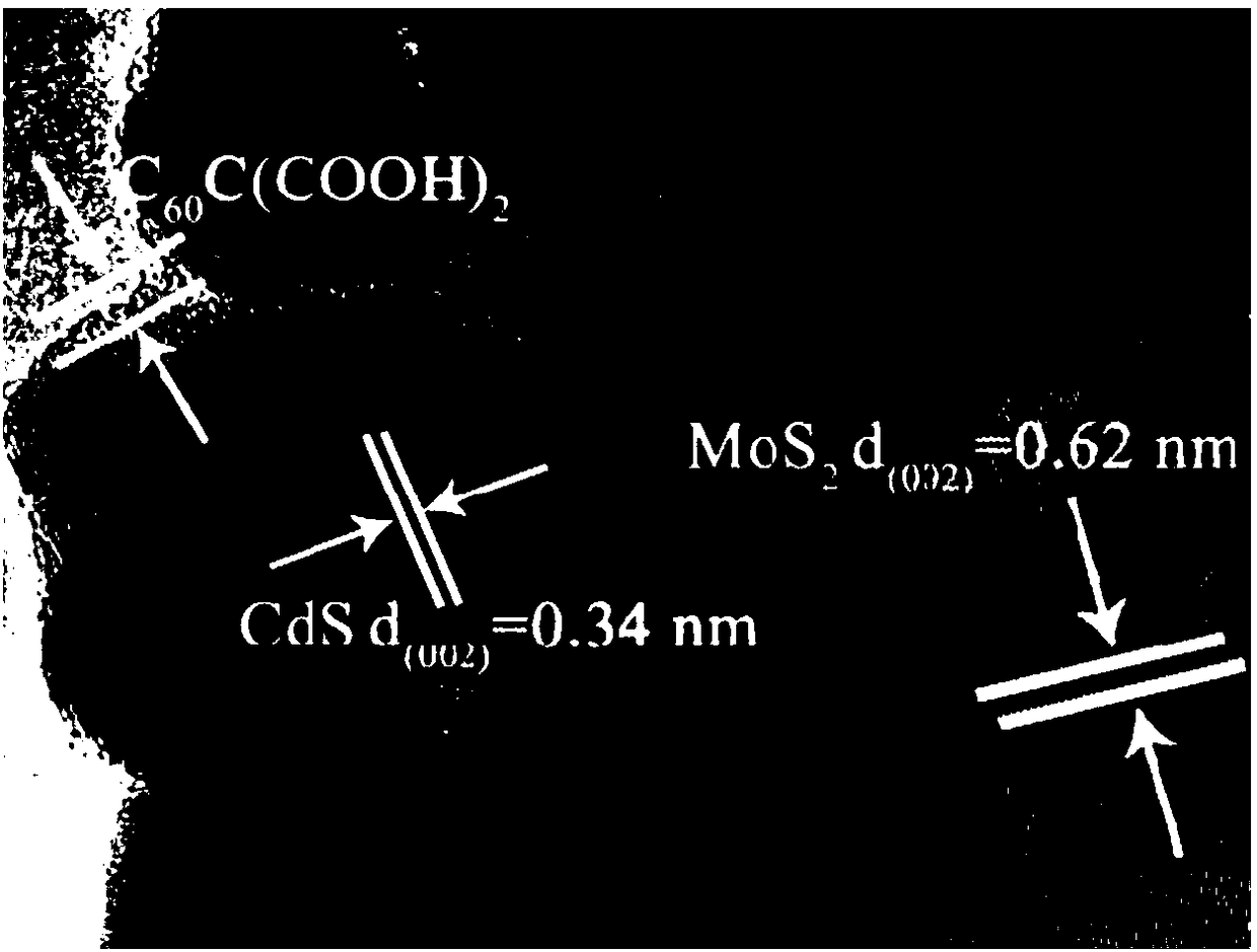 Preparation and application of CdS/MoS2/C60C(COOH)2 ternary composite