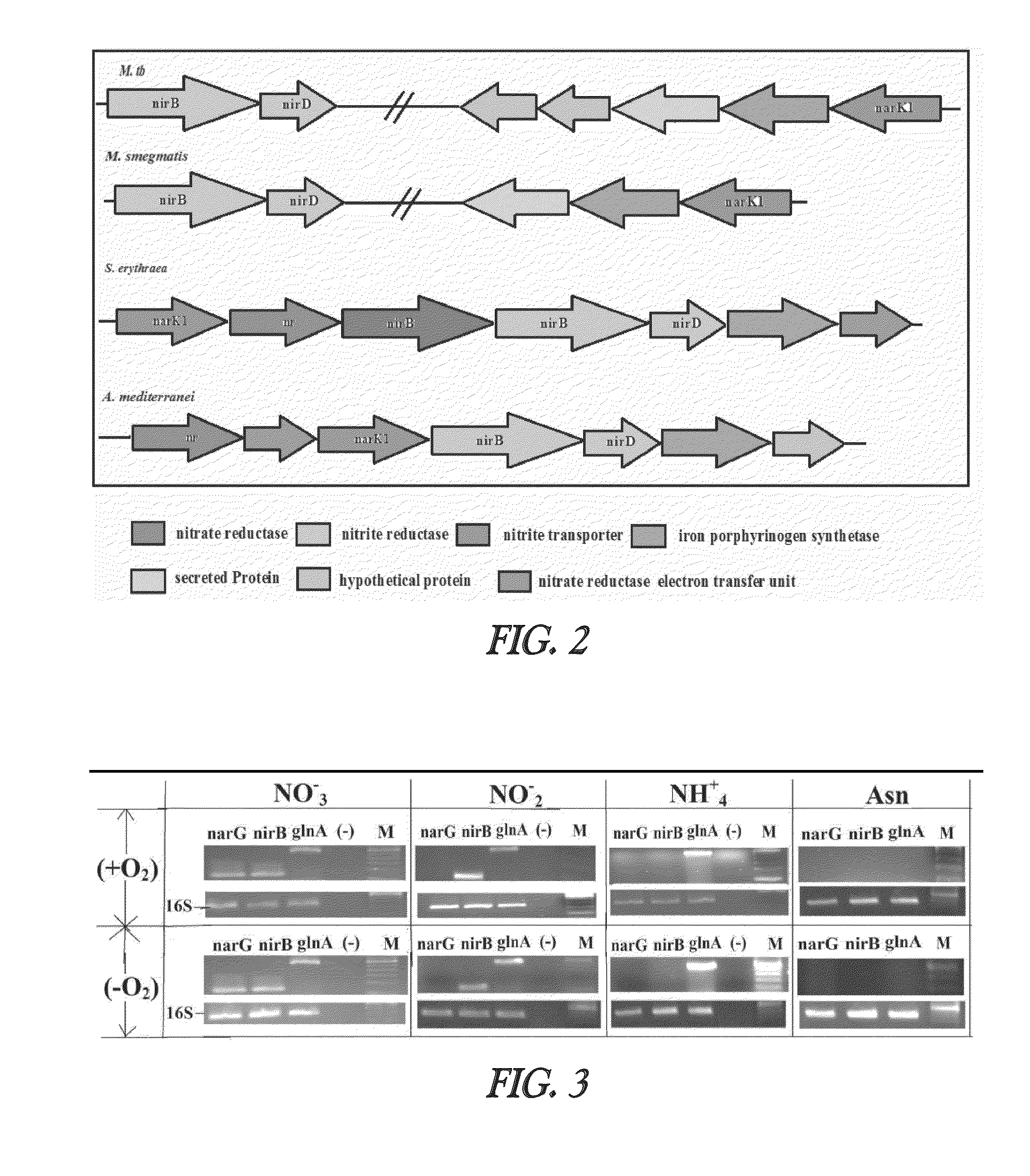 Nitrite-reductase (NIRB) as potential Anti-tubercular target and a method to detect the severity of tuberculosis disease