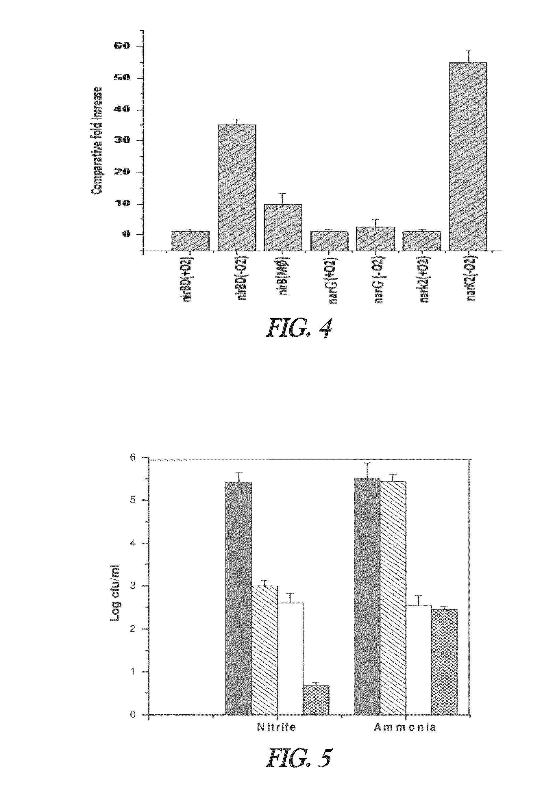 Nitrite-reductase (NIRB) as potential Anti-tubercular target and a method to detect the severity of tuberculosis disease