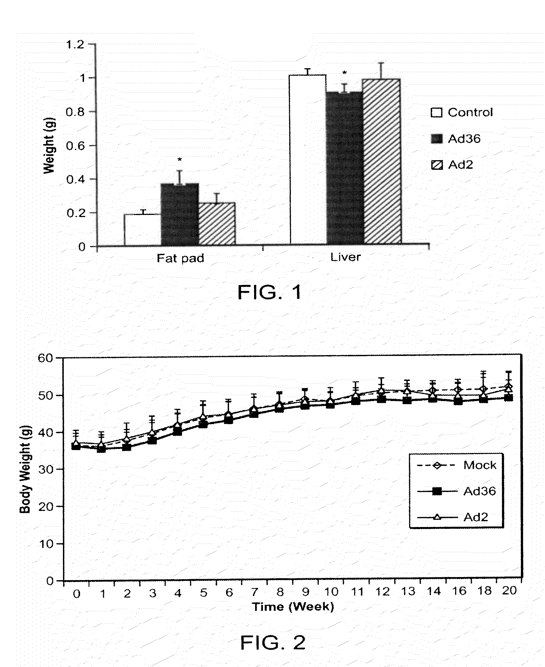 Adenovirus AD36 E4 ORF1 Protein For Prevention and Treatment of Non-Alcoholic Fatty Liver Disease