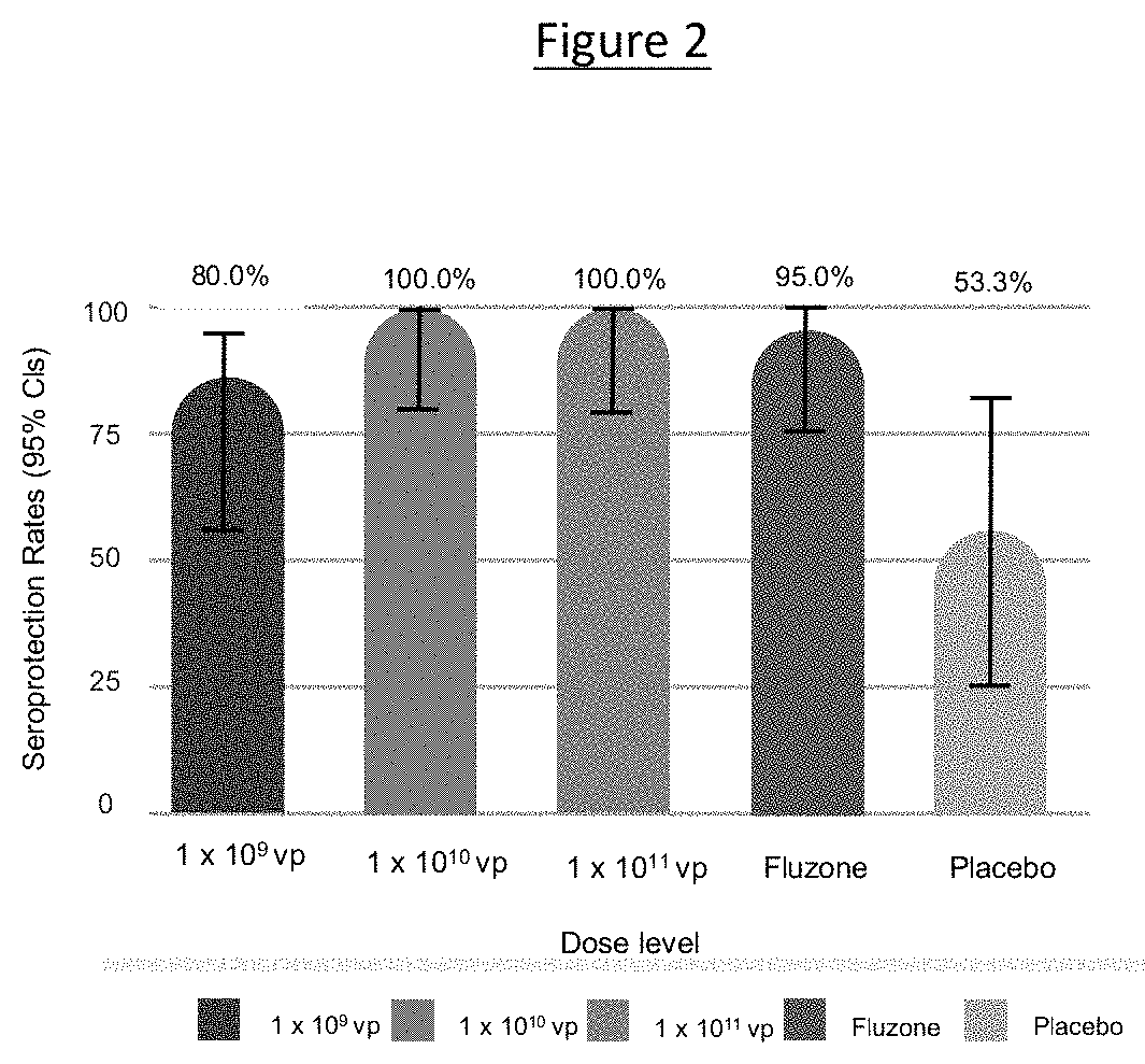 Broad and long-lasting influenza vaccine