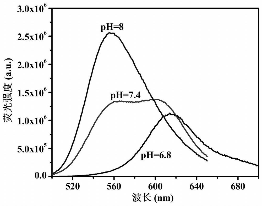 A bioluminescence-triggered upconversion carbon quantum dot-protoporphyrin ix composite photosensitizer and its preparation method