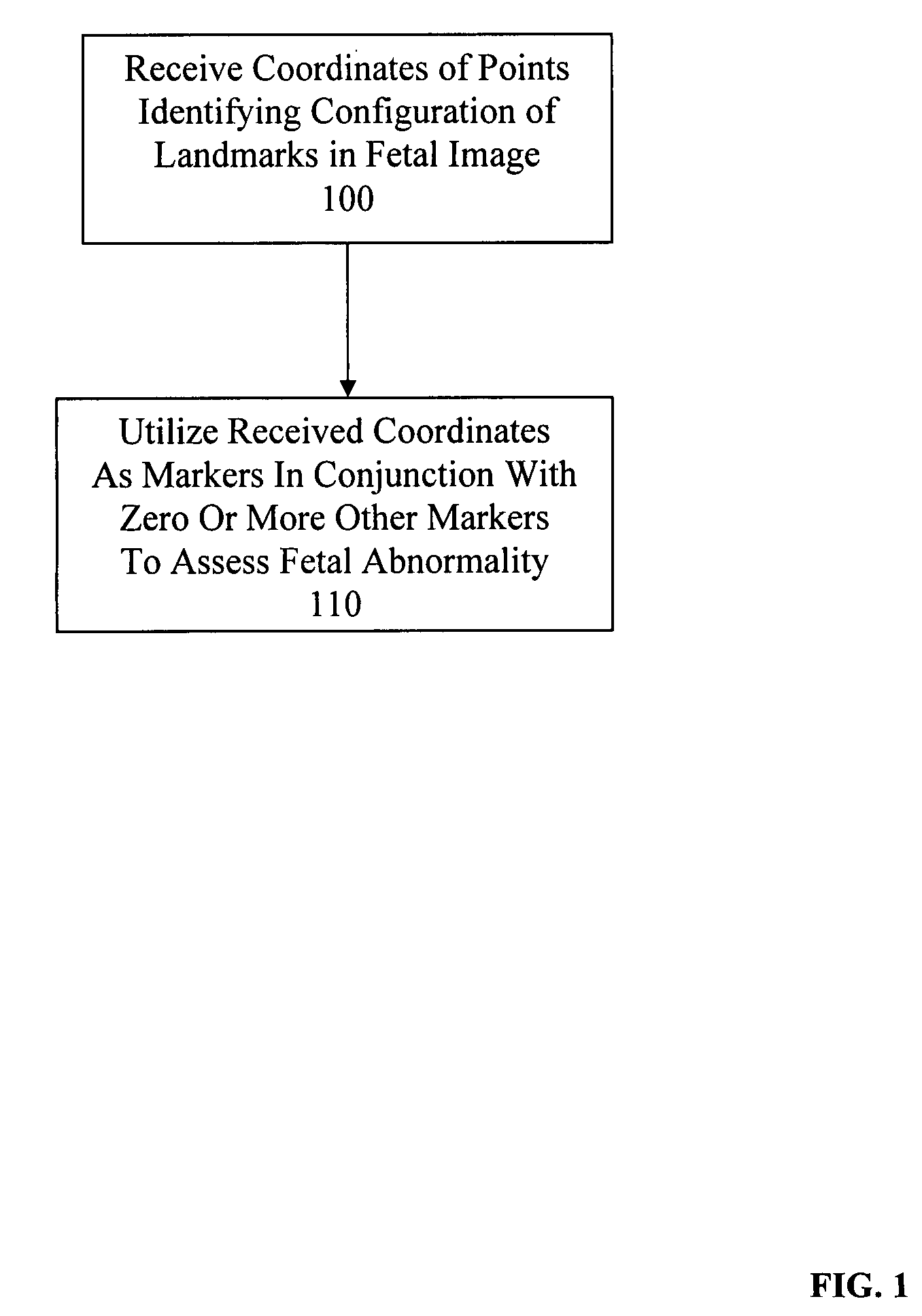 System and method for assessing fetal abnormality based on landmarks