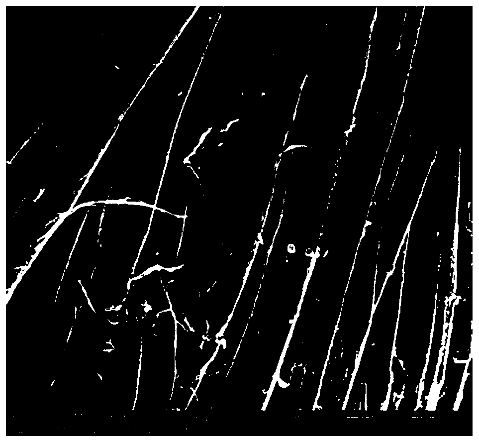 Dyeing method using natural pigment for cationic-modified linen fabric