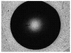 Amorphous carbon composite coating and preparation method and application thereof