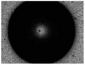 Amorphous carbon composite coating and preparation method and application thereof