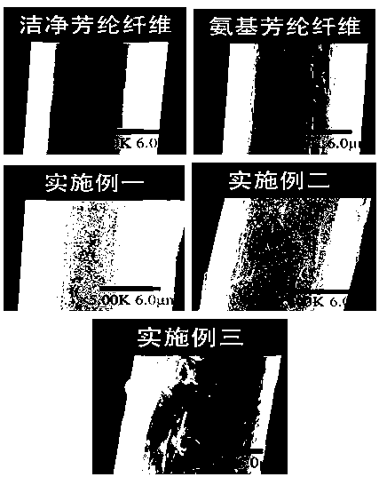 Surface grafting modified aramid fiber and preparation method thereof