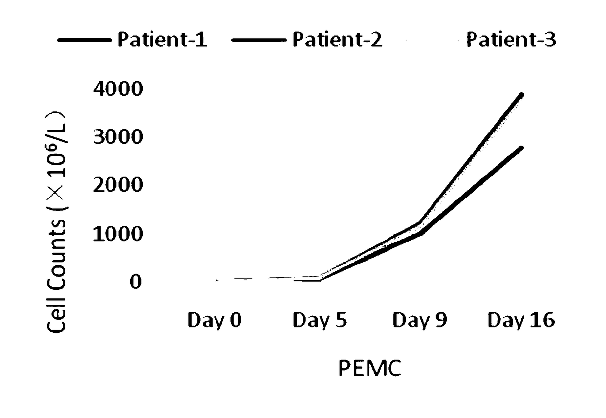 Preparation and amplification method for T cells with terminal malignant tumor lung metastasis with malignant pleural effusion and application