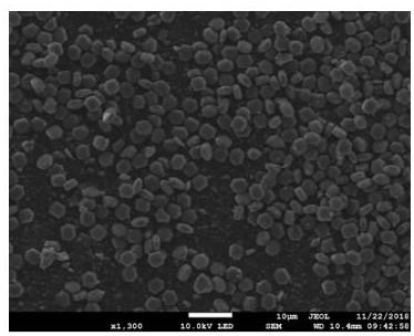 Hexagonal flaky titanyl oxalate photocatalyst and preparation method thereof