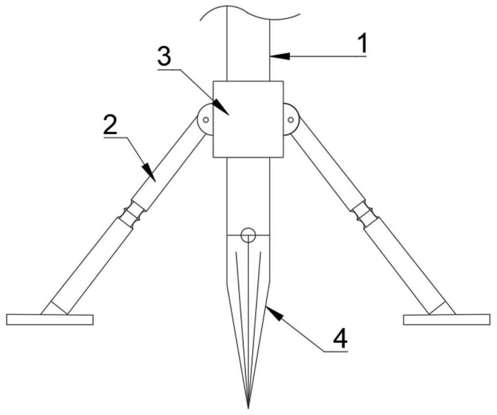 Exotic plant distribution pattern and propagation path early warning analysis system