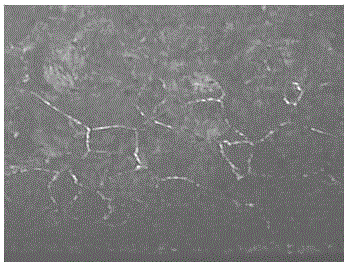 Low-cost decarbonization-preventing coating material for heavy rail steel and application of coating material