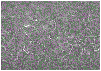 Low-cost decarbonization-preventing coating material for heavy rail steel and application of coating material