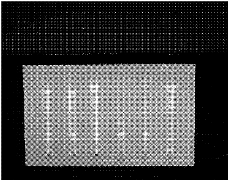 Method for detecting liuwei caragana preparation