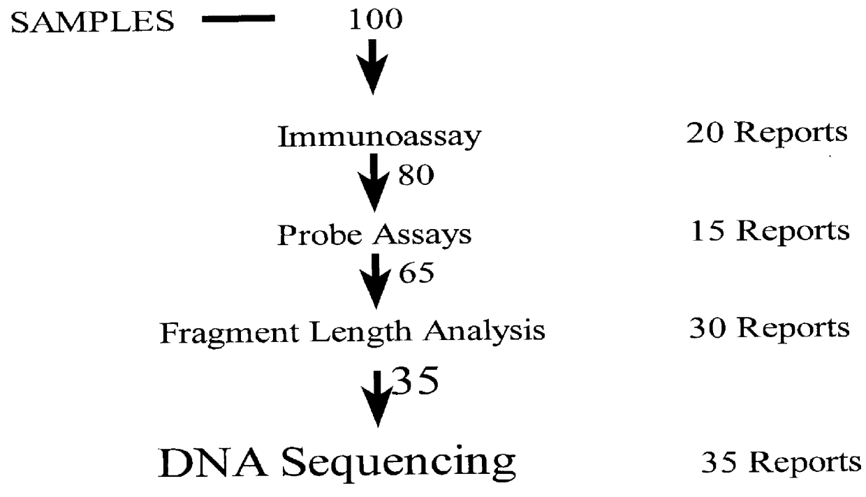 Compositions and methods for diagnosis of mutation in the von Hippel-Lindau tumor suppressor gene