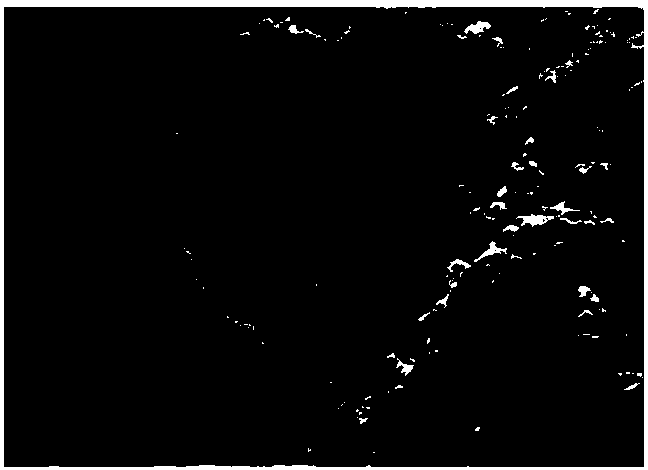 Underwater image sharpening method based on underwater imaging model and depth of field