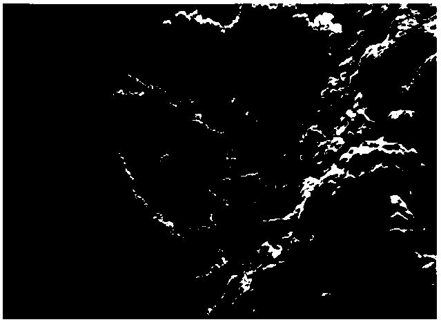 Underwater image sharpening method based on underwater imaging model and depth of field