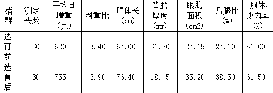 Novel Yimeng black pig breeding method