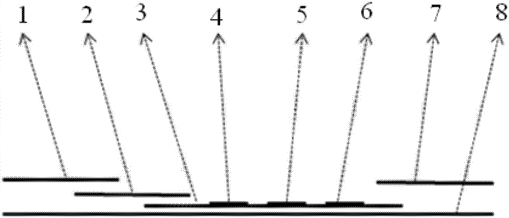 Immunochromatographic test strip for determining IgG anti-A and anti-B blood group antibodies of pregnant woman or human blood-group reverse typing