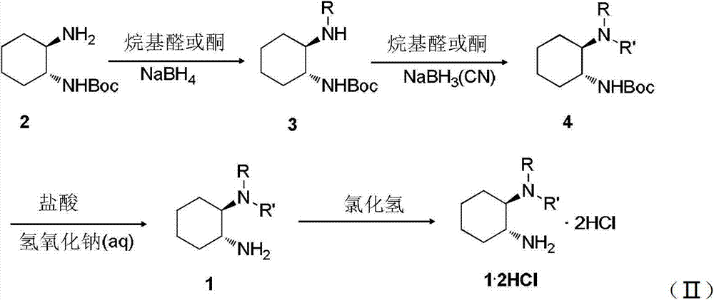 Chirality N, N-dialkyl-1, 2-diaminocyclohexane catalyst as well as preparation method and application thereof