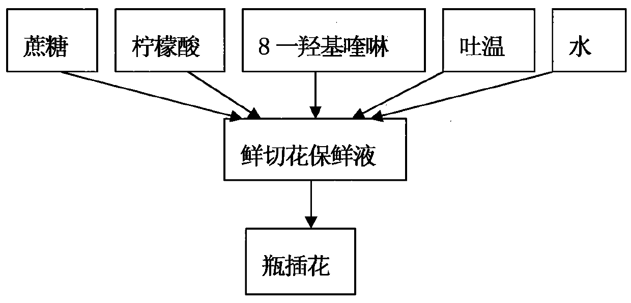 Fresh cut flower preservative and preparation method thereof