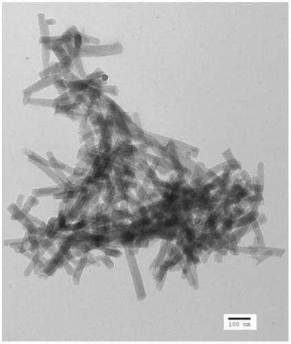 Application of porous carbon nanorods in near-infrared light-induced dual phototherapy