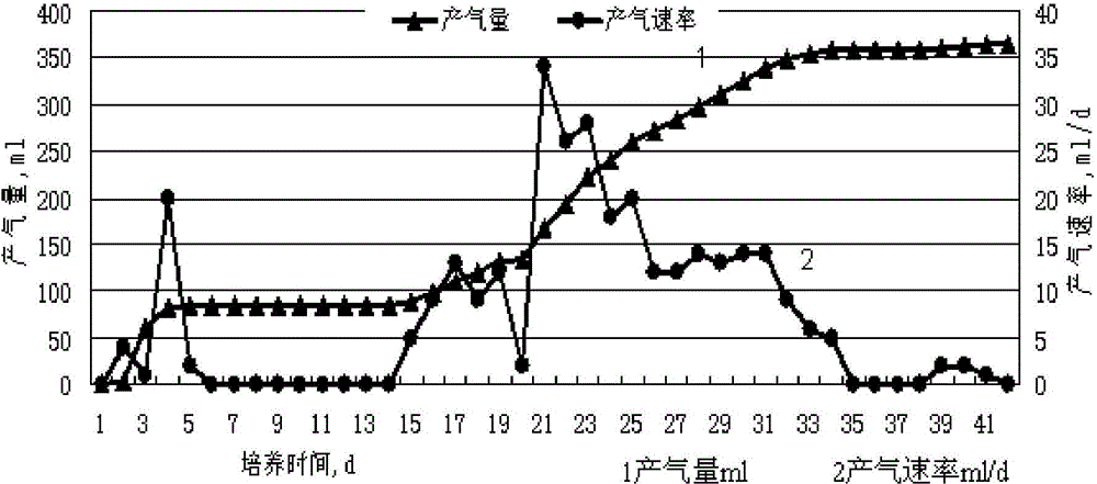 Method for increasing coal-bed gas recovery ratio by using coal-bed indigenous microbes