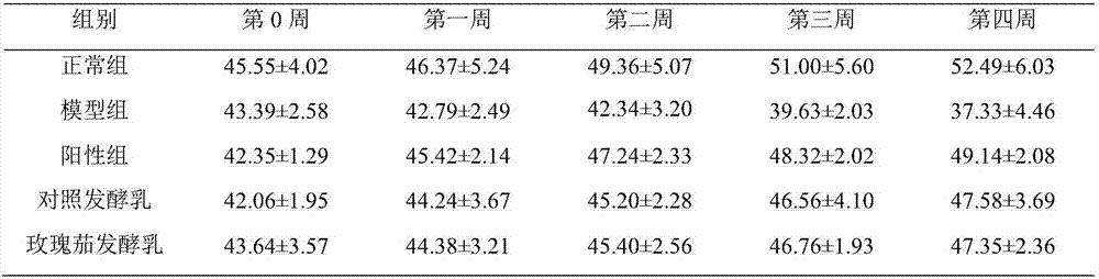 Preparation method of hibiscus sabdariffa fermented milk for reducing blood sugar