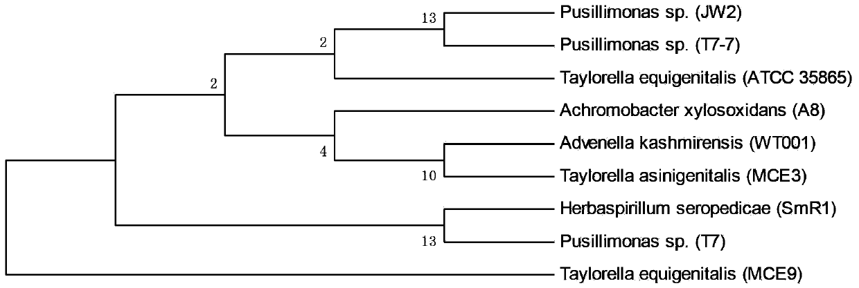 Screening of endosulfan degrading bacteria JW2 and application of endosulfan degrading bacteria JW2 to red soil