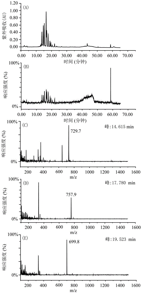 Application of bufadienolide compounds having amino acid chains in preparing anti-tumor drugs