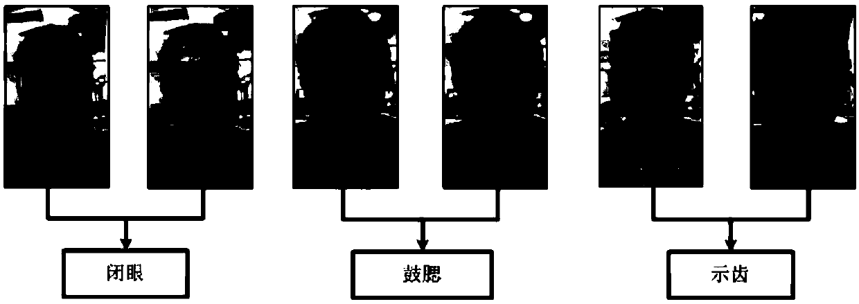 True and false facial paralysis identification system based on depth difference feature