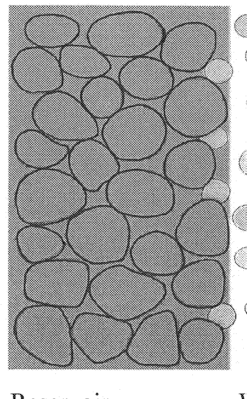 Water-based drilling fluid for protecting high-permeability reservoirs, and preparation method and use thereof