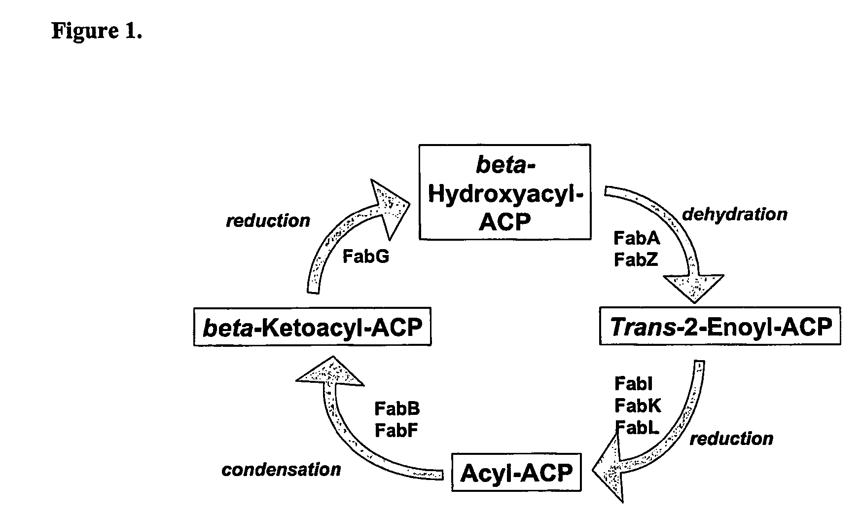 Heterocyclic compounds, methods of making them and their use in therapy