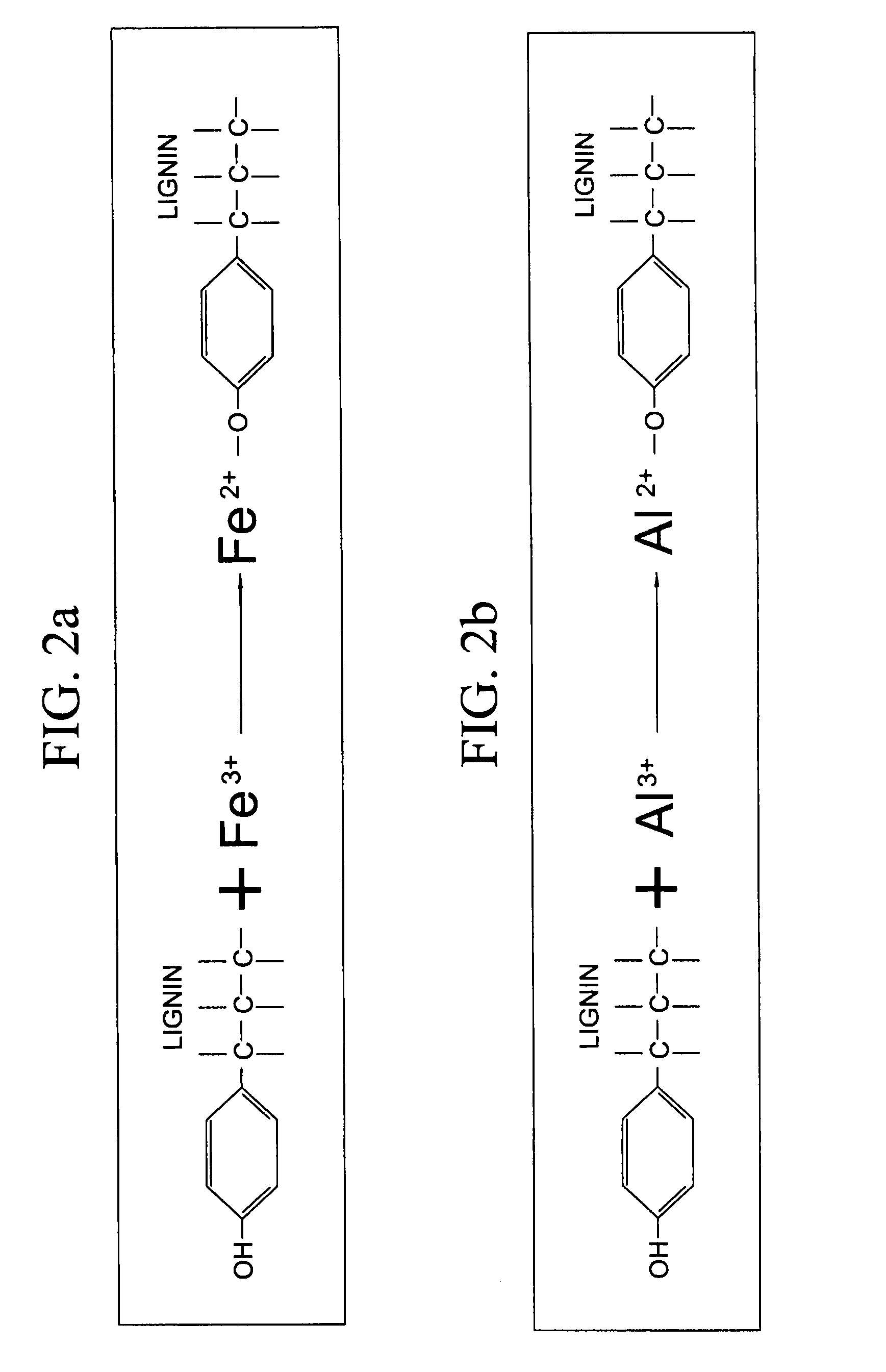 Lignocellulose-based anion-adsorbing medium (LAM) and process for making and using same for the selective removal of phosphate and arsenic anionic contaminants from aqueous solutions