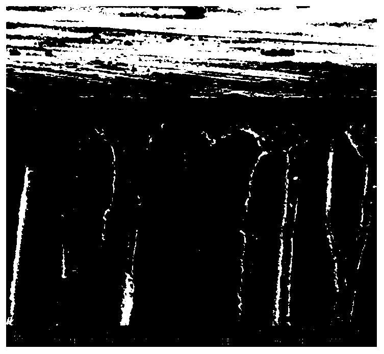 A kind of preparation method of dopamine and glucose modified cross-linked polyimide nanofiltration membrane