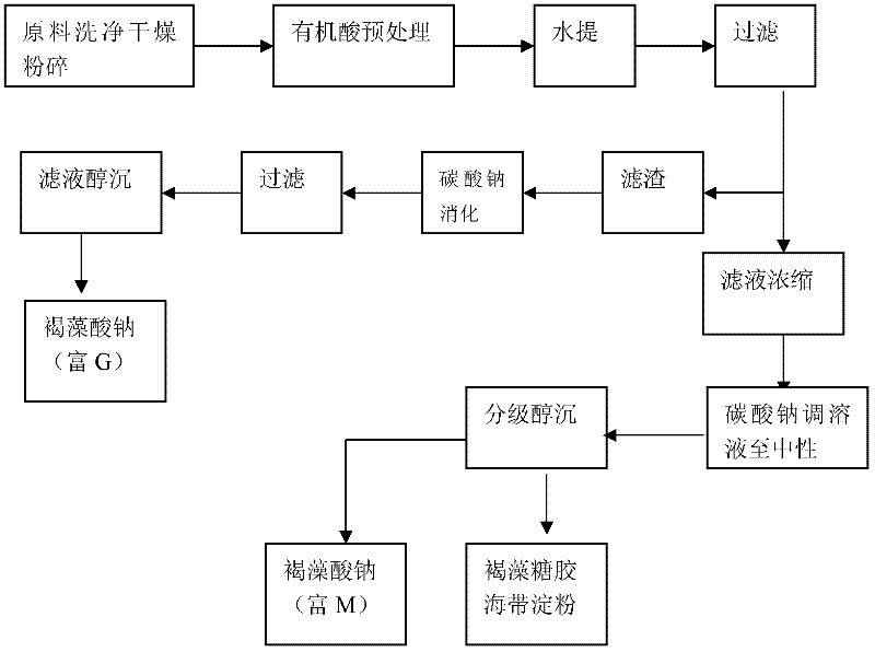 Method for extracting active polysaccharides from brown algae