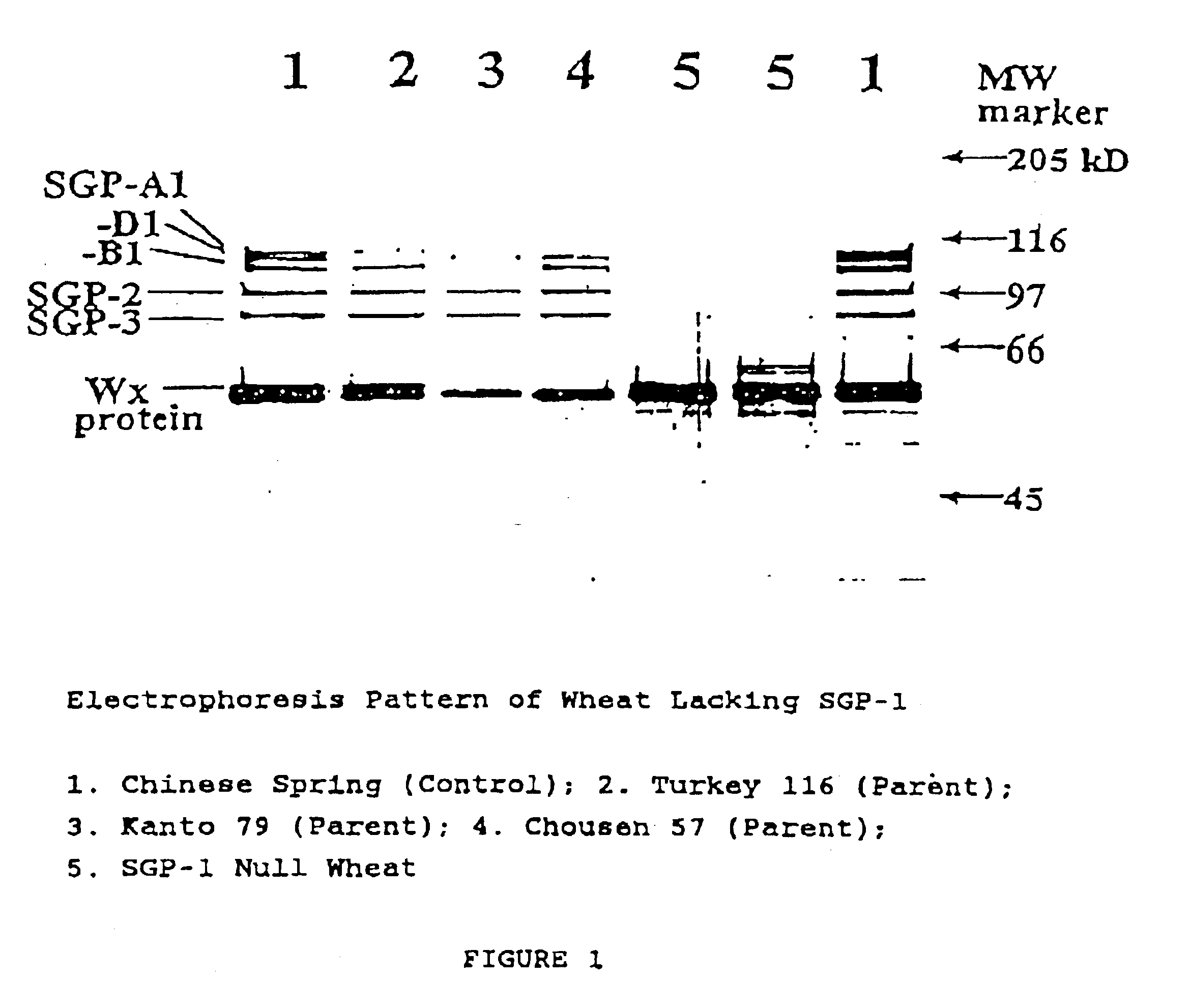 High amylose wheat starch and wheat containing the same