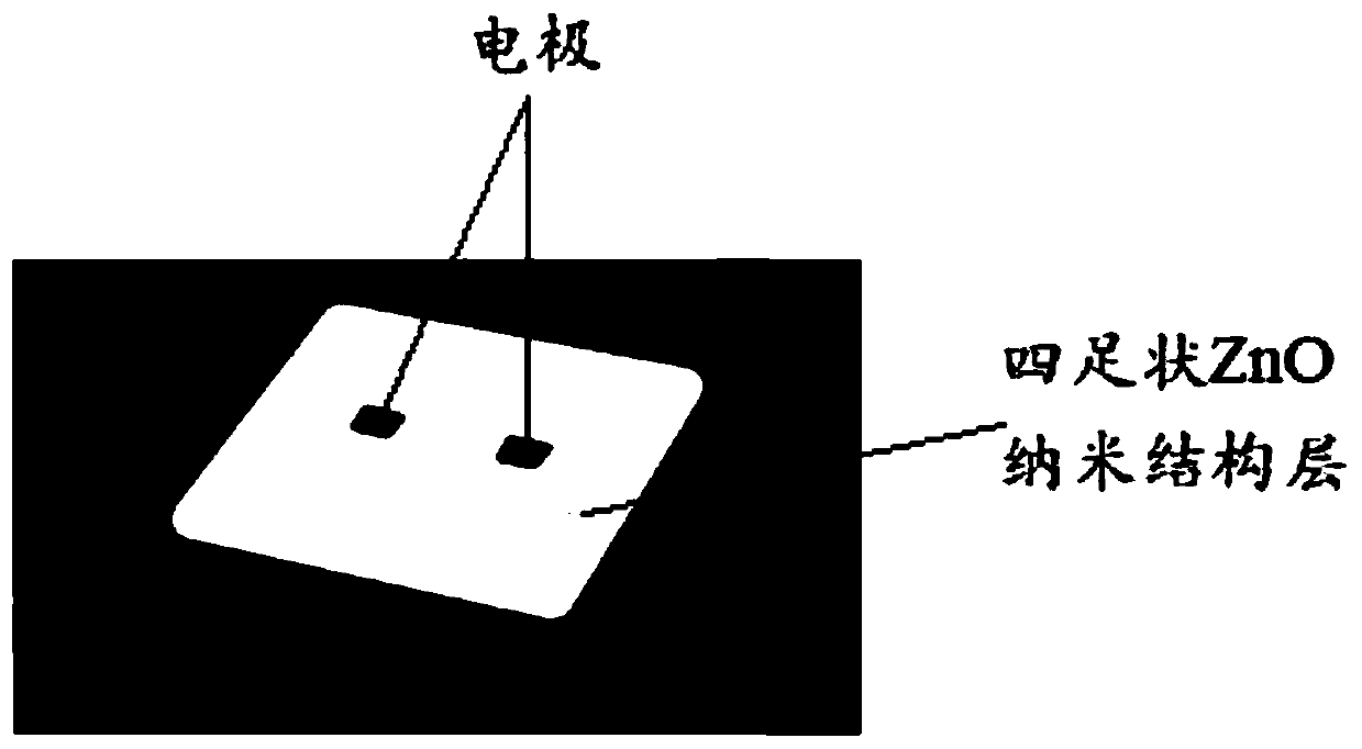 Flexible self-supporting ZnO ultraviolet detector and preparation method thereof