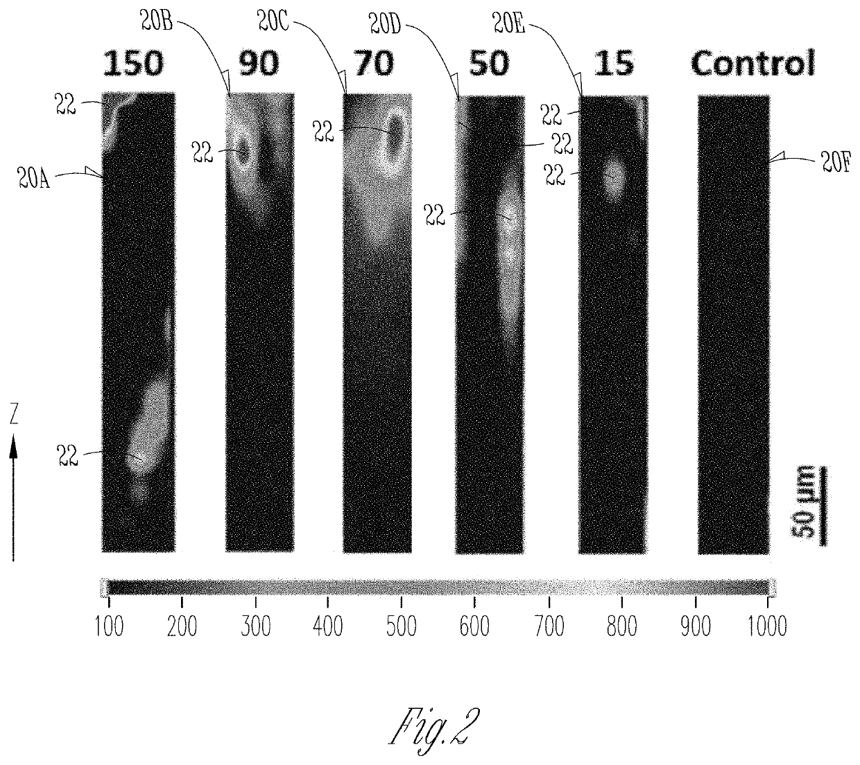 Method and system of pesticide detection using SERS