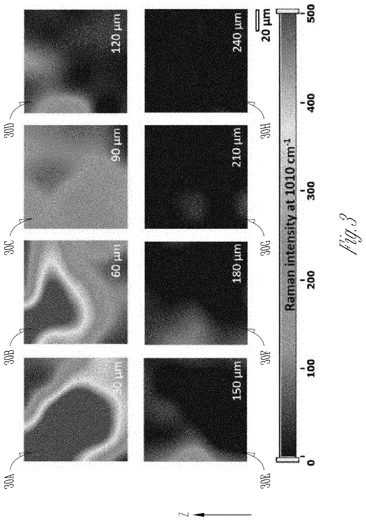 Method and system of pesticide detection using SERS