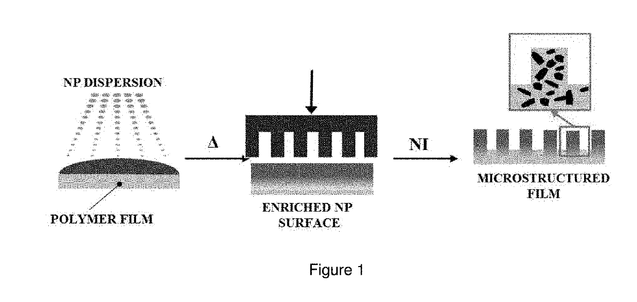 Polymeric composites with functional surfaces