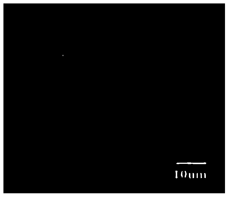 Preparation method of high-precision metal fibrofelt for high-temperature gas dust removal