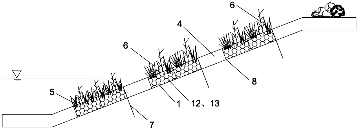 In-situ vegetation type ecological transformation structure and method for hard sloping revetment