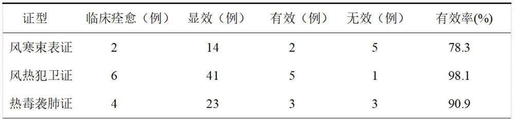 Traditional Chinese medicine formula for treating mild influenza as well as preparation method and application thereof